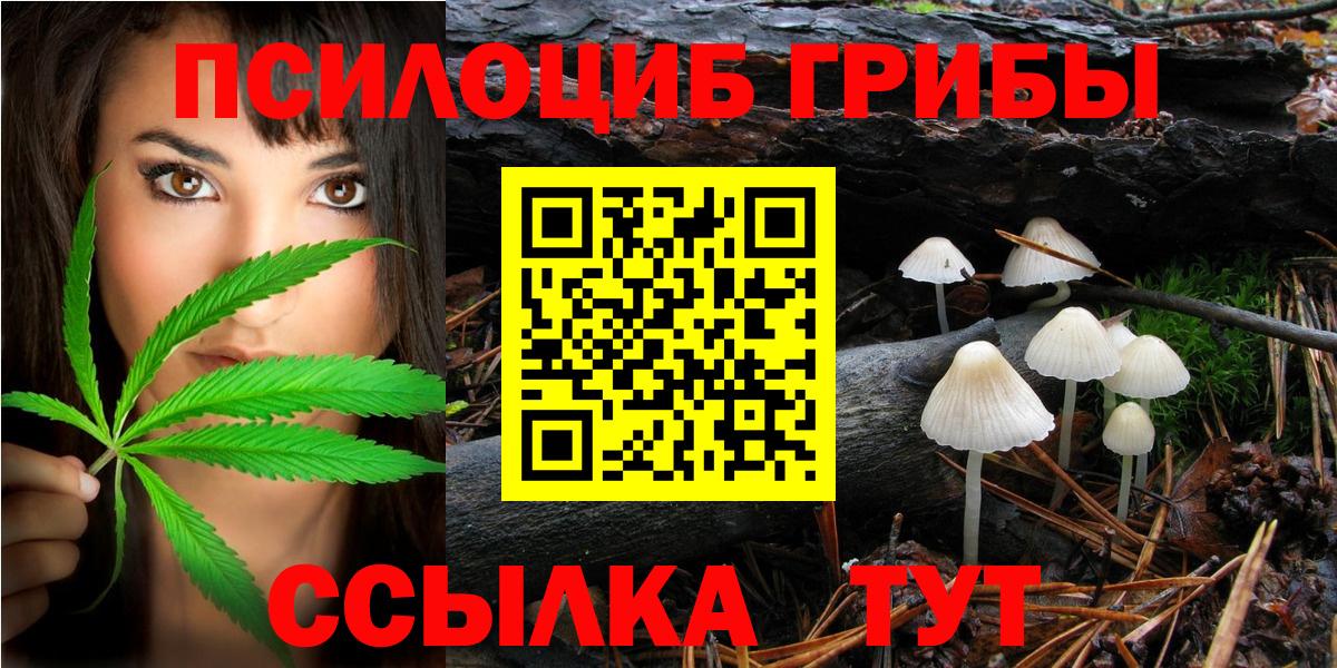 Галлюциногенные грибы GOLDEN TEACHER Рославль